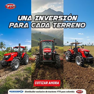 Asesoría WhatsApp YTO